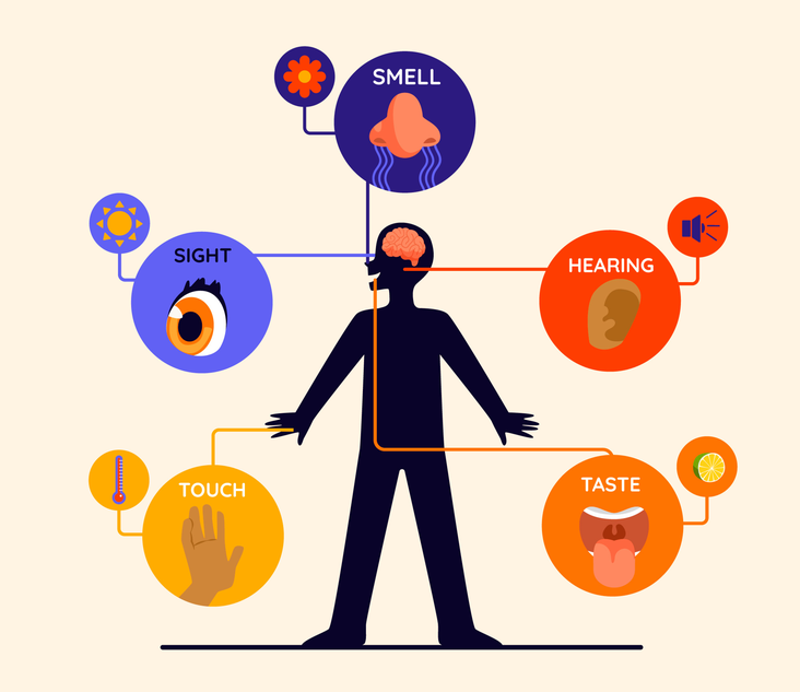 Illustration, die Technik 5-4-3-2-1-Grounding-Technik, die 5 Sinne.