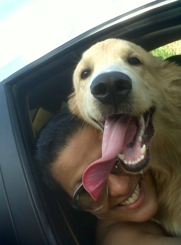 Girl and golden retriever in a car