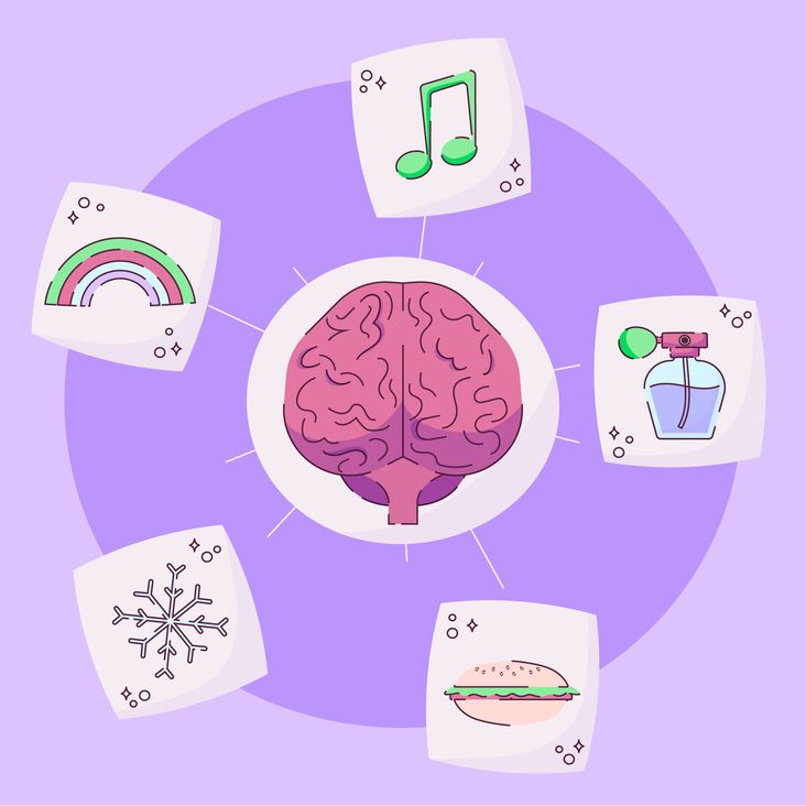 Hand drawn 5 senses infographic