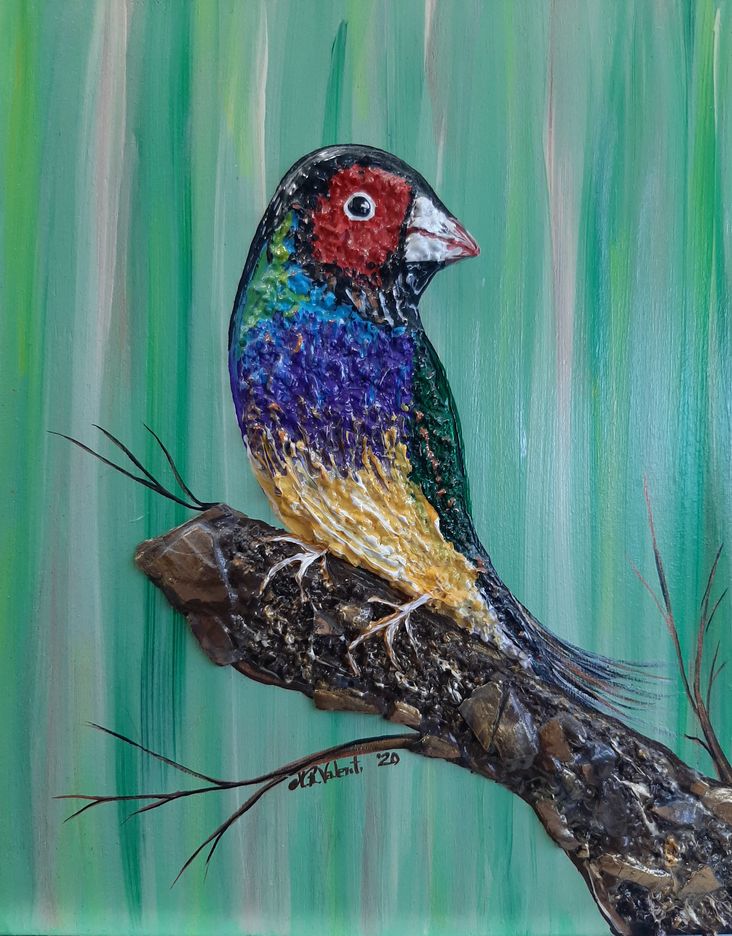 Gouldian finch painting by Meri Valenti